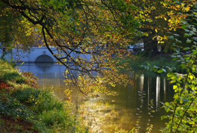 Wellbeing Hub